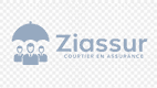Ziassur